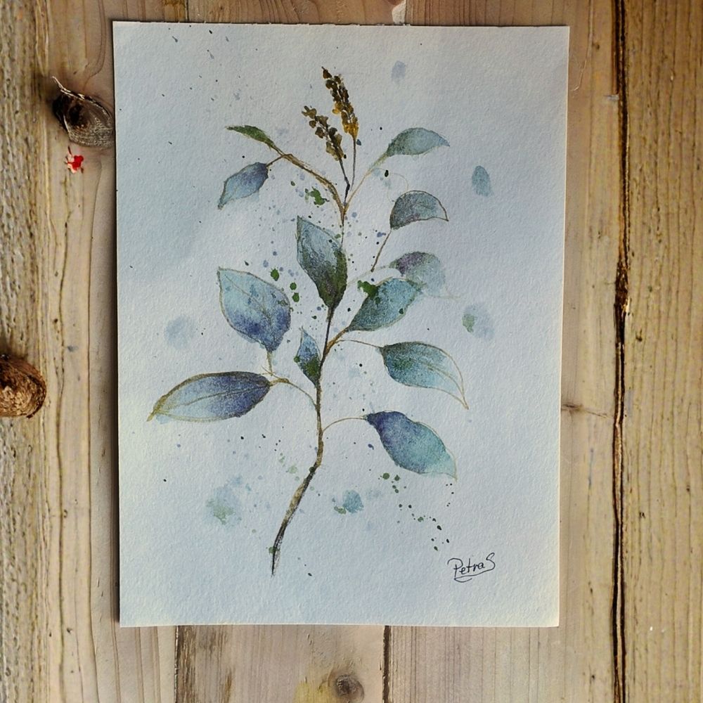 Plant Study